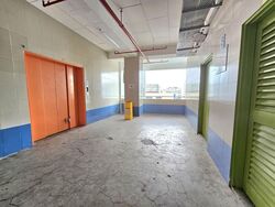 Perfect One (D13), Warehouse #554776421